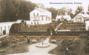 presentation convent millstreet